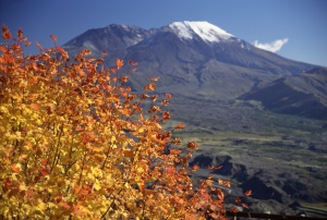 de eerste sneeuw op Mount St Helens in de herfst | Mount St Helens National Monument